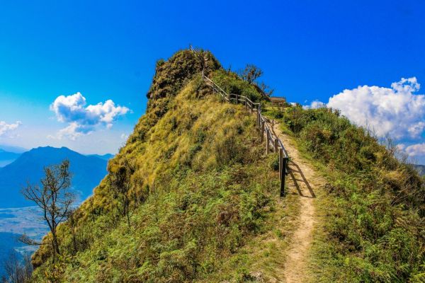 The Uphill battle of discipline